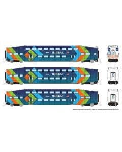 N Bilevel Commuter Car: TriRail - Dark Blue Scheme: Set #1 (Cab: 501 Coaches: 1004 1009)